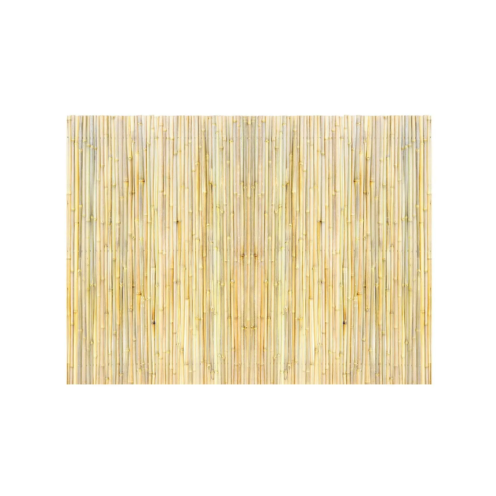 Natural Rolled Bamboo Fence Bamboo Panel 4 Ft H X 6 Ft L X 0.75 In D.