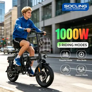 High Carbon Steel Frame + Dual Disc Brakes! Z1 14" Foldable E-Bike, 1000W Motor, Safe & Fast