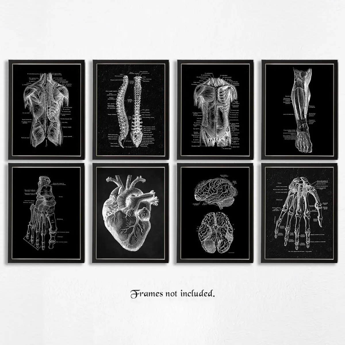 Skeleton Anatomy Pattern Unframed Painting, Unframed Art Print, 8pcs/set Vintage Simple Canvas Medical Wall Art Poster, Wall Art Decor for Home Classroom Office, Home Decor, Art Wall Decoration, Decorative Artwork, Skeleton Design