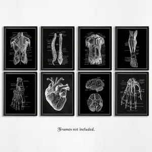 Skeleton Anatomy Pattern Unframed Painting, Unframed Art Print, 8pcs/set Vintage Simple Canvas Medical Wall Art Poster, Wall Art Decor for Home Classroom Office, Home Decor, Art Wall Decoration