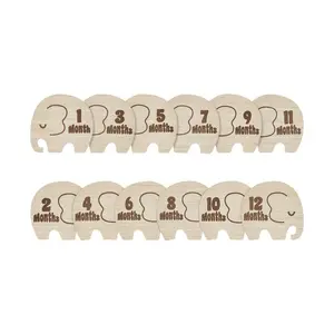 Elephant Wooden Milestone Photo Props