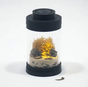 Prehistoric Desert Terrarium Kit | TINY