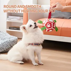 Inflatable Pet Toy Ball for Dogs, Durable & Fun Design, Perfect for Outdoor Play & Training, Easy to Inflate & Store