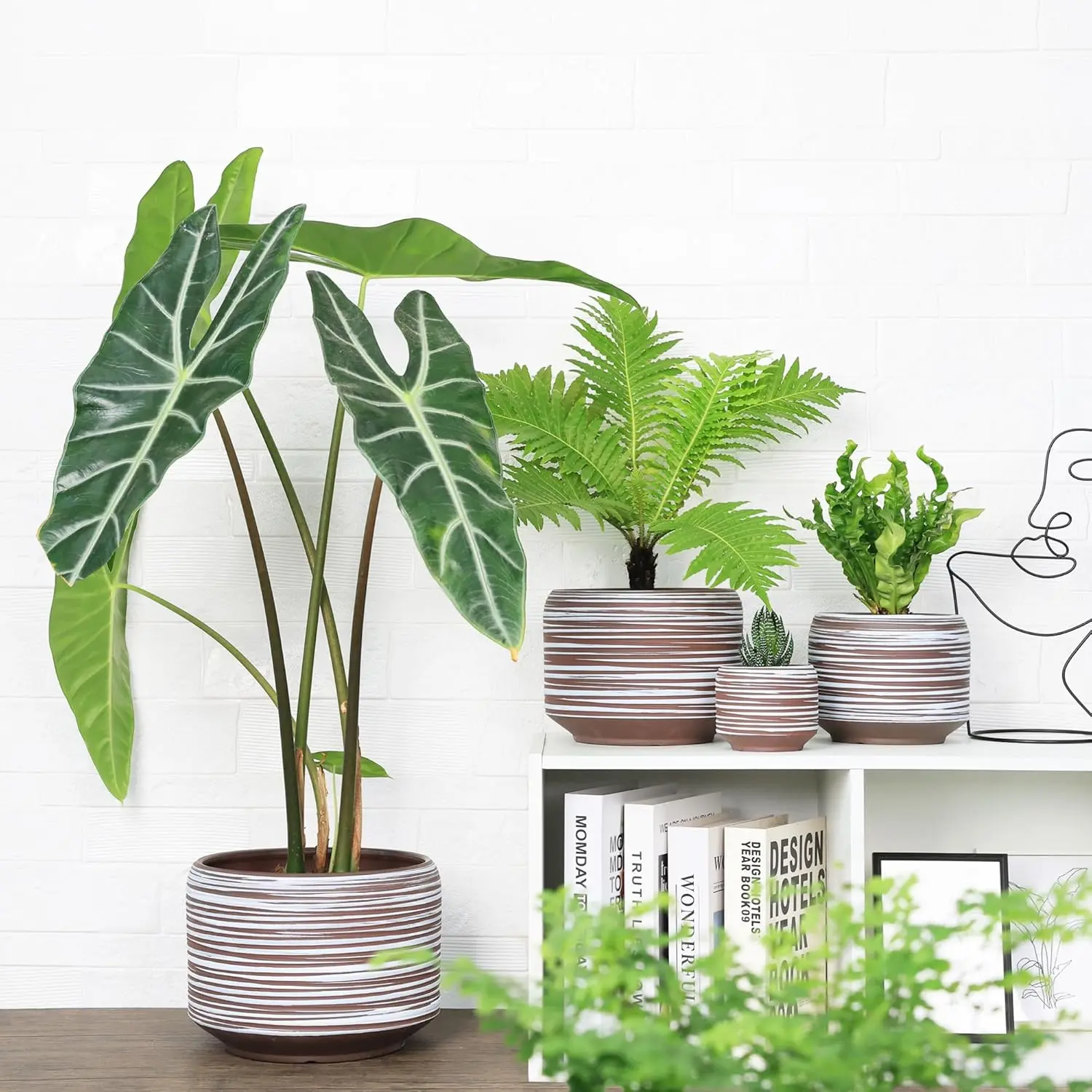 indoor plant pots large 20