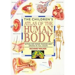 USED-The Children's Atlas of the Human Body: Life-Size Human Anatomy Chart by Richard Walker (Paperback)