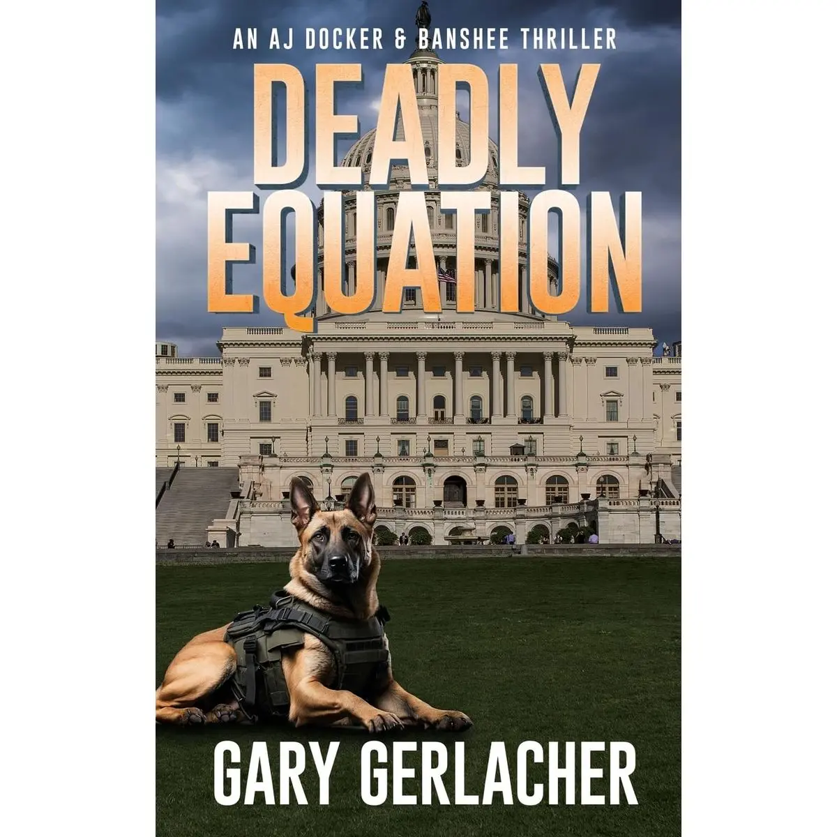 Deadly Equation: An AJ Docker and Banshee Thriller (An AJ Docker Medical Thriller) Hardcover – December 16, 2024