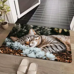 1 piece, cartoon style, cat sleeping pattern sponge carpet, dirt-resistant indoor and outdoor entrance door mat, non-slip, soft and comfortable, living room and bedroom floor mat indoor decoration