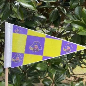 Rally flag