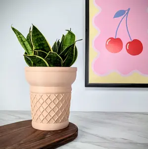 ChiclyBuilt Ice Cream Cone Planter, Air Plant Holder, Succulent Pot