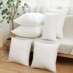 Throw Pillow Core