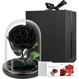 Preserved Black Rose in Glass Dome, Medium Forever Rose ,  for Delivery, Long Lasting Eternal Flower Rose Gifts for Women Mom Wife Girlfriend Grandma(Black)