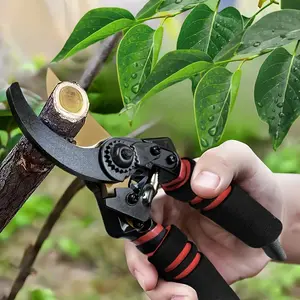 Professional Premium  Shears Hands Tools ,Tree Pruner Scissors ,Garden Tool