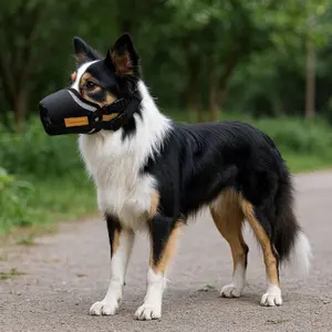 Adjustable Dog Bite Proof Muzzle, Breathable Mesh Material, Prevents Barking & Chewing, Safe for Walking Pets, Pet Supplies Essential