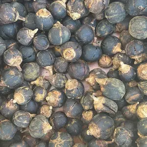 Dried Goron Tula Seeds/ Silky Kola/ 20 pieces