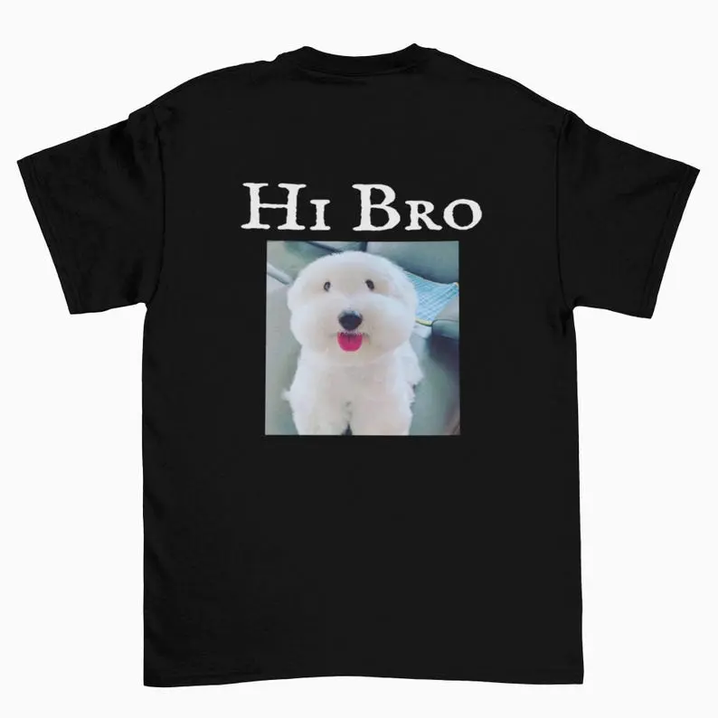 Hi Bro Tshirt, Funny dog meme shirt, hi bro dog shirt, tiktok meme shirt, wait im goated, silly tiktok meme tee, gen z