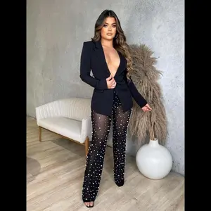 Two-piece Set Women's Plain Lapel Neck Blazer & Sheer Contrast Mesh Faux Pearl Decor Pants, Elegant Fashion Outfits for Work Office Business, Ladies Fall & Winter Clothes