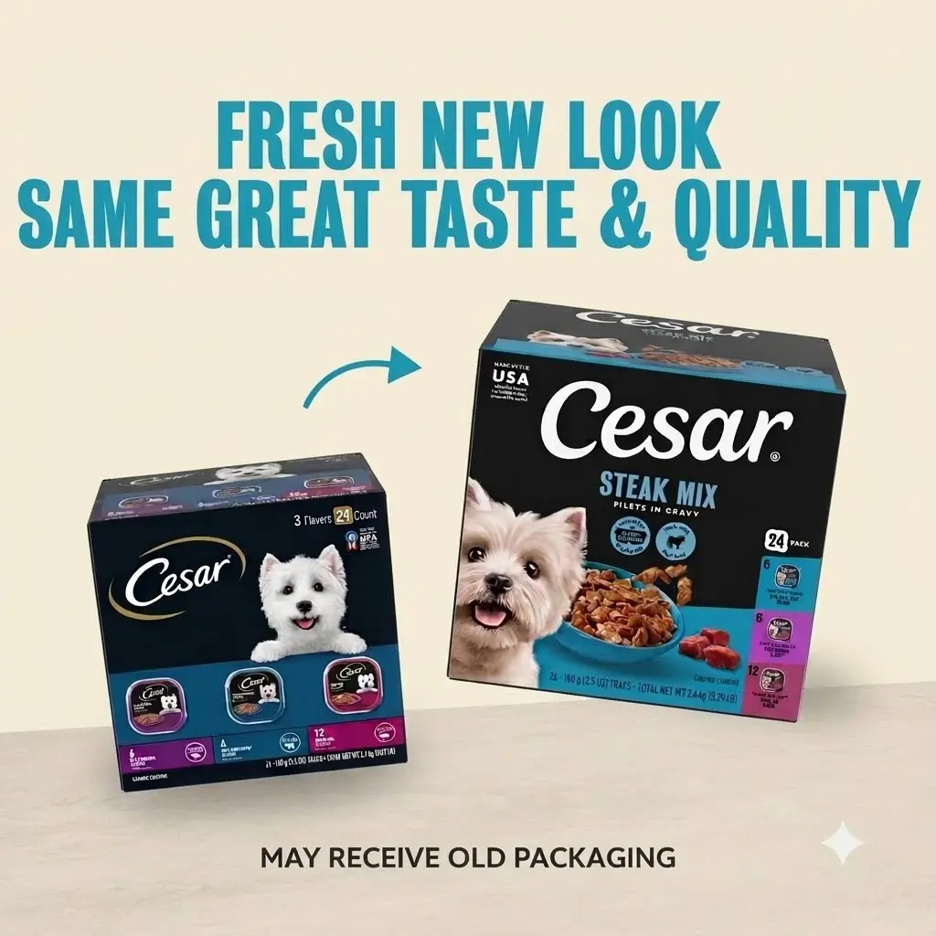 Cesar Filets In Gravy Variety Flavors Wet Dog Food Adult 3.5 oz Easy Peel Trays 24 Pack Balanced Gourmet Dog Meals