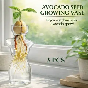 3pcs Avocado Seed Growing Vase - Clear Venus Statue Vase Hydroponic Propagator Planter for Home Balcony Decor