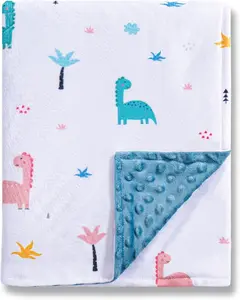 Blanket Neutral,Super Soft Minky Blanket Unisex,  Gifts for Girls Boys,Double Layer with Dotted Backing,  Blankets for  (Dinosaur,30 * 40inch)