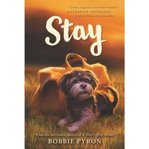 Stay by Bobbie Pyron [Paperback Book]