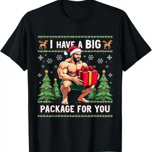I Have a Big Package for You Funny Christmas Xmas Muscle Man T-Shirt Crewneck Menswear Top Black Breathable Tee