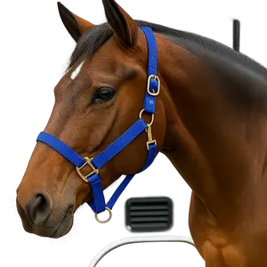 Blue Nylon Horse Halter NHBLUE