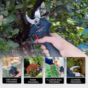 12V Brushless Pruning Shears Bs1225bl, High-Speed Motor, Alloy Steel Blades, Four Adjustable Openings, Ideal for Gardening and Fruit Trees
