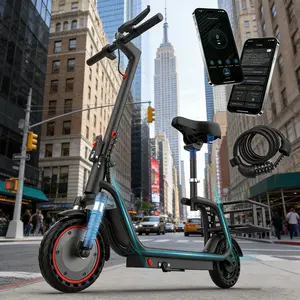 350W Folding Electric Bike for Adults, Maximum Speed 19MPH,Range 16/28 Miles, LED Lights,UL 2272 Certified