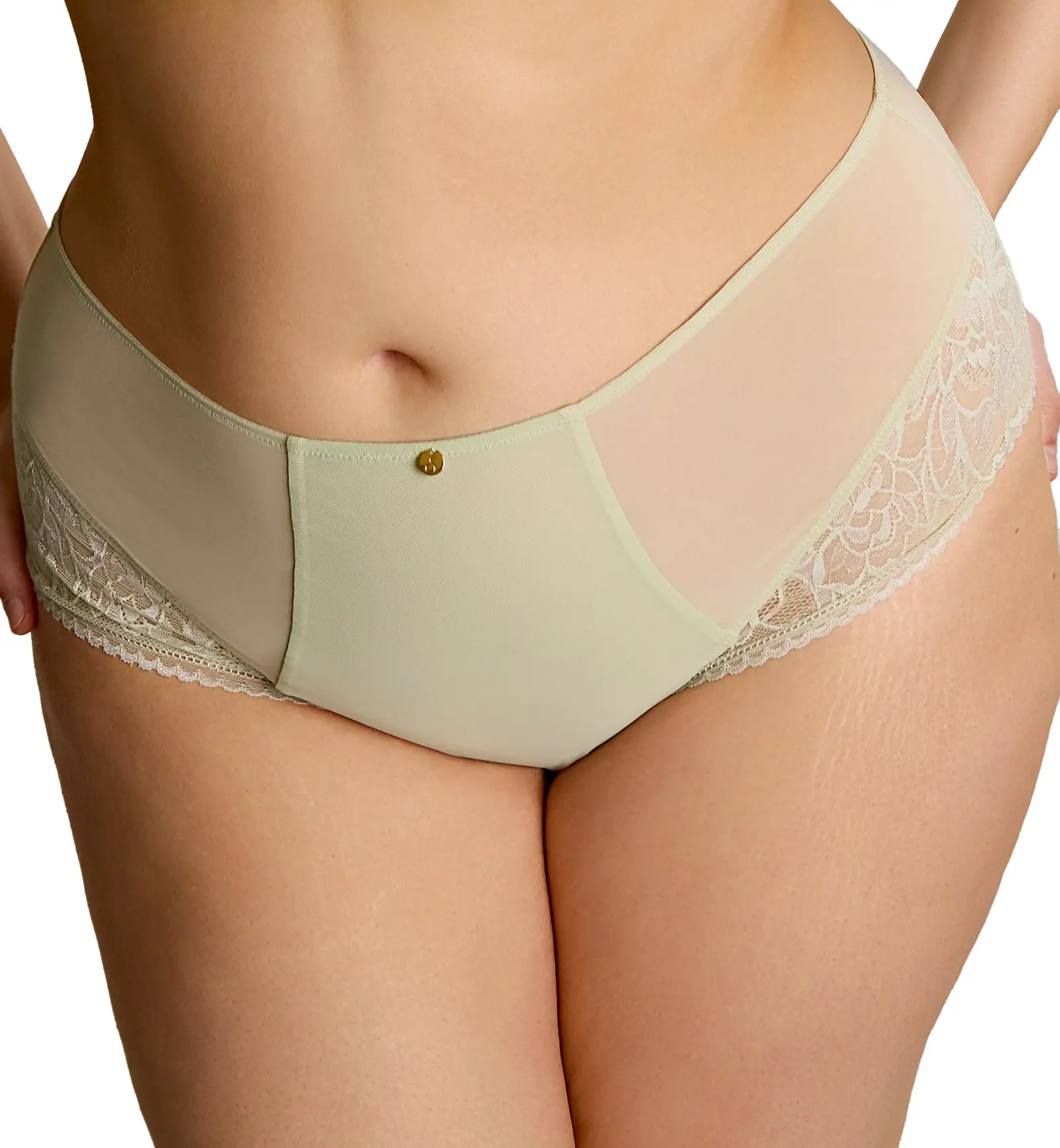 Sculptresse Dream Deep Brief (10804) - Pistachio