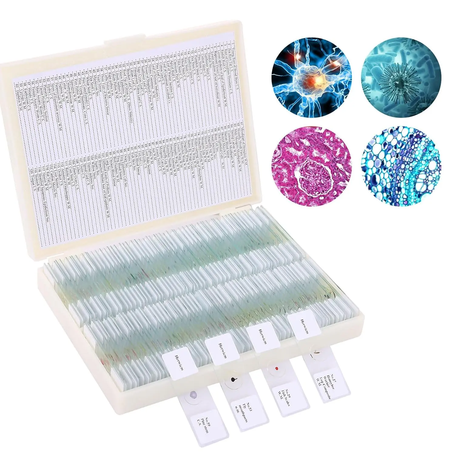 120 Microscope Slides with Specimens, , , , Algae Slide Set for Biological Science Laboratory Basic Biological Science Education