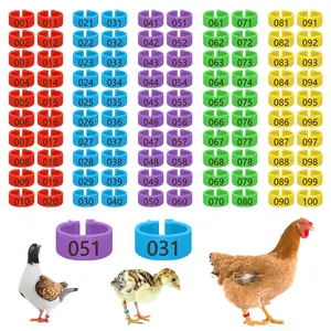 100 16mm Plastic Chicken Leg Bands  Color-coded For Chickens & Farmers Notched Ring Design Easy Flock Management