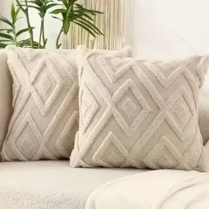 Two-Piece Pillow Covers Simple Geometric Design Comfortable Sofa Backrest Cushion Cover, Single-Sided Regular Pattern Decorative Pillows, Geometric Patterns