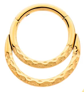 24kt Gold PVD Hammered Double Hoop Titanium Hinged Segment Ring