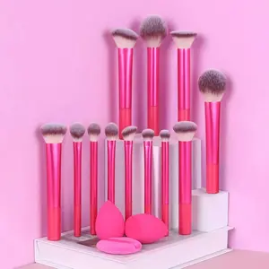 15-Piece Makeup Brush Set, Includes Powder Brush, Blush Brush, Highlighter Brush, Eyeshadow Brush, Eyelash Brush, Eyeliner Brush, Angled, Beauty Brush Set