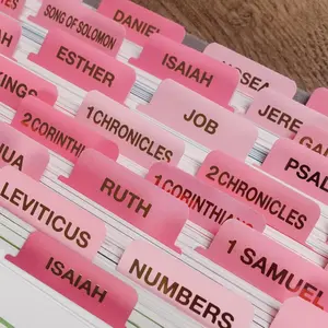 Pink  Tabs for Women - Large Print Laminated  Study Supplies with 24K  Leaf Gilded Lettering, Book Index Tabs for Catholic & ESV , Scripture Journaling Accessories