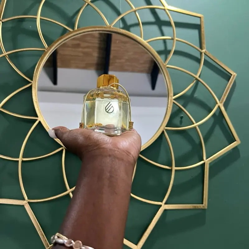 ELEVATE Reed Diffuser | Aromatherapy Home Fragrance for Stress Relief & Energy | The Wellness Doula