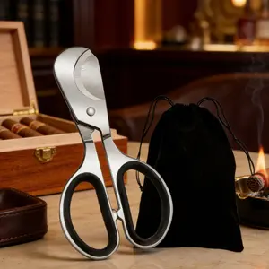 2-piece Stainless Steel Scissors | Portable Double-Blade Scissors with Storage Bag, Suitable for Various Yans, Universal Silver Incense Scissors