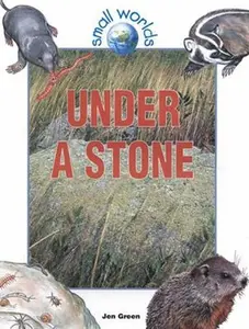 USED Book - Under a Stone by Green, Jen (Paperback) - english