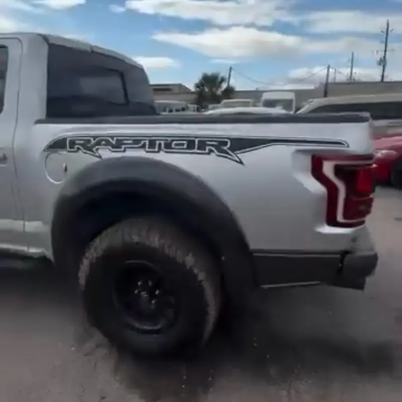 Ford Raptor hood and truck bed corner pen style decal set