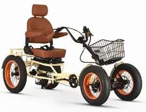 ANYterrain  4 Wheel 750w  Recumbent  EBike