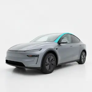 Model Y Juniper Pillars PPF Kit – Pre-Cut DIY Paint Protection Film