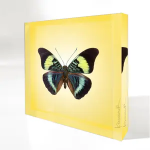 Panacea Prola Butterfly | Petite Art Block