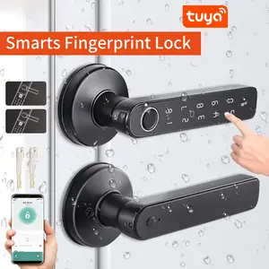 1pc Metal Fingerprint Smart Lock, Keyless Entry Handle Lock, 50 Fingerprint Capacity, Easy Installation & Programming, Suitable for Apartment Home Office