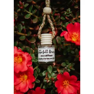 Waterfall Breeze Hanging Car Diffuser