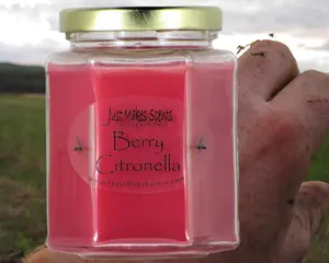 Berry Citronella Mosquito Repelling Candles (For Indoor Use)