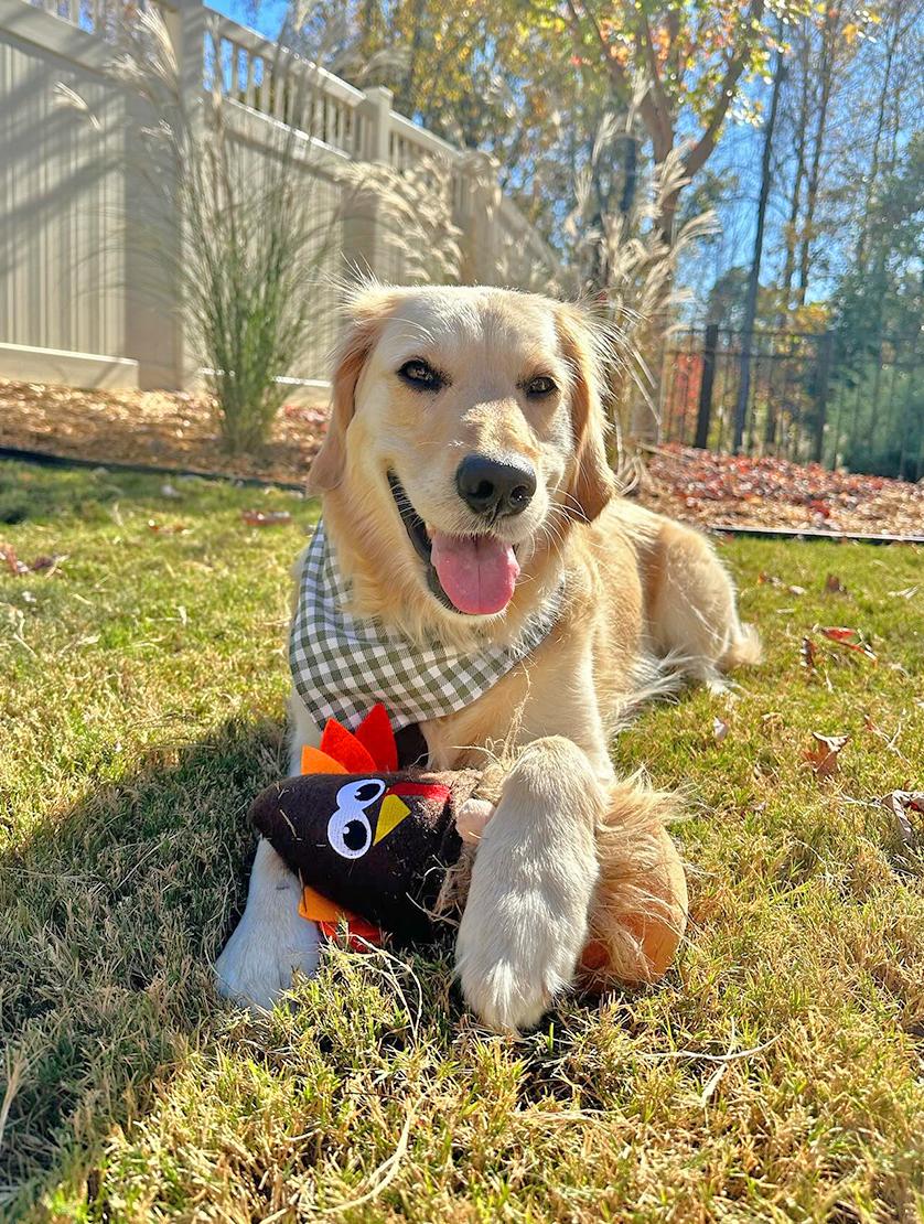 Midlee Thanksgiving Gnome Dog Toy with Hidden Ball Plush Interactive Toy 10" Tall 5.5" Diameter Durable Rubber Ball Inside