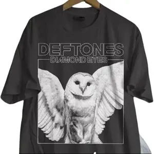 Deftones Rock Band Shirt, Deftones Diamond Eyes Black Unisex Tshirt - Tshirt Basic Womenswear Crewneck Top Streetwear Shortsleeve Casual