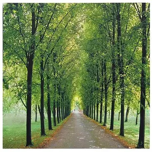 Oriental Furniture Path of Life Canvas Wall Art