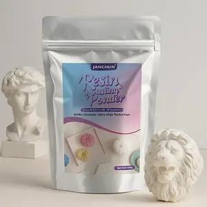 JANCHUN 500g Resin Casting Powder - Fast Cured Casting Resin Kit for Beginners,20~30 Minutes De-Mold, Water Activated Plaster Powder Kit for Molds, Easy Mixing & Self Leveling