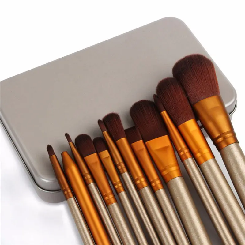 12PCS Travel Makeup Brush Set, Foundation Powder Blush Eyeshadow Eyebrow and Lip Brushes with Tin Box